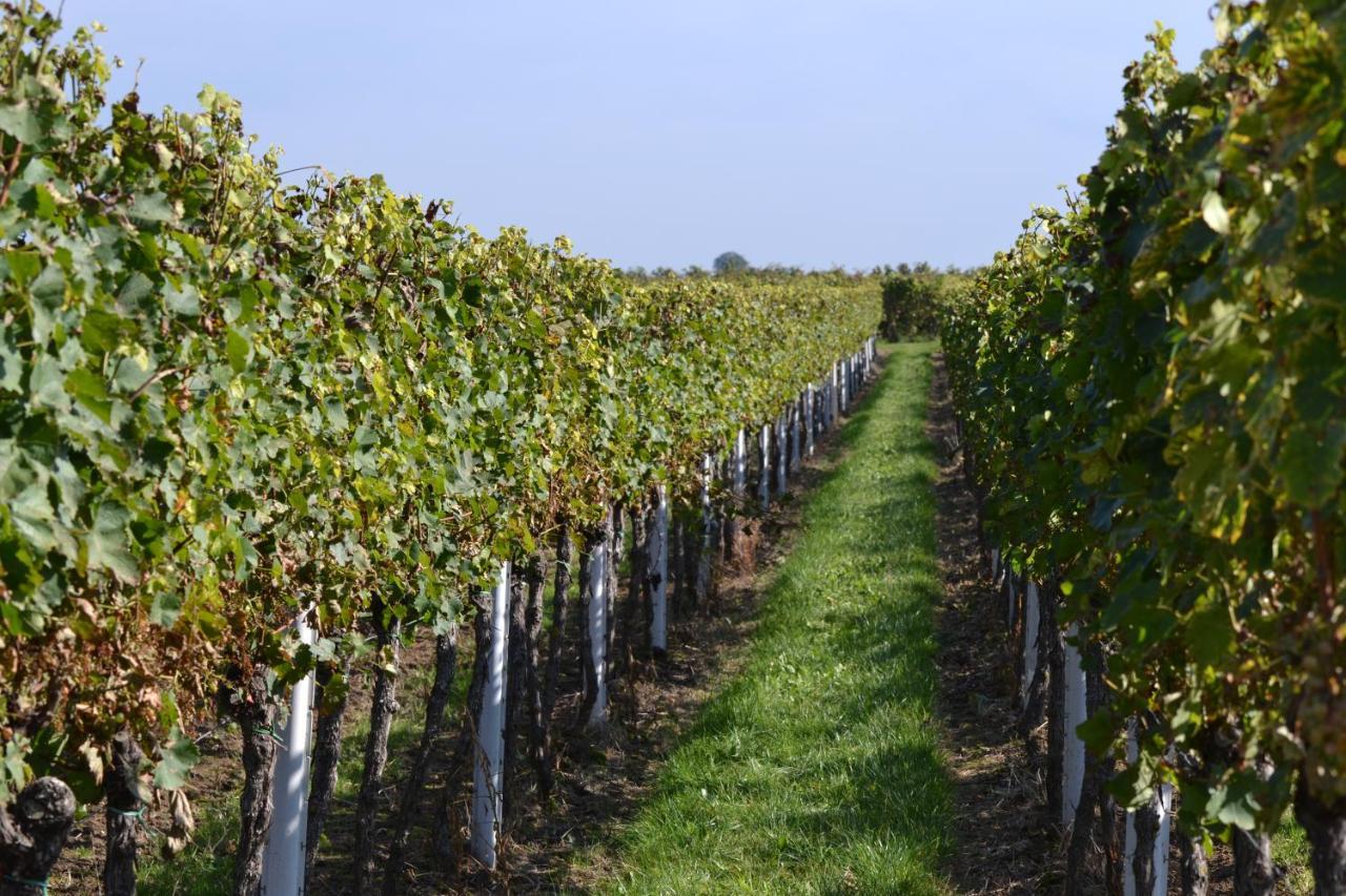 Zauber Der Pfalz Römerberg Extérieur photo